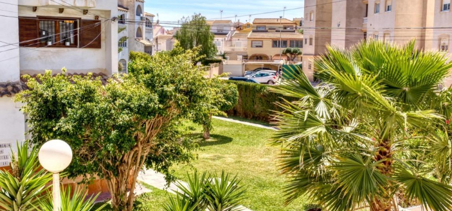 Torrevieja, Alicante, 1 Bedroom Bedrooms, ,1 BathroomBathrooms,Villa,Resale,0,75632373950008016