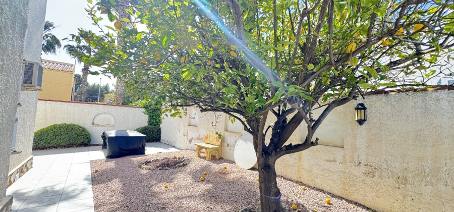 San Miguel de Salinas, Alicante, 5 Bedrooms Bedrooms, ,3 BathroomsBathrooms,Villa,Resale,0,103186177239131504