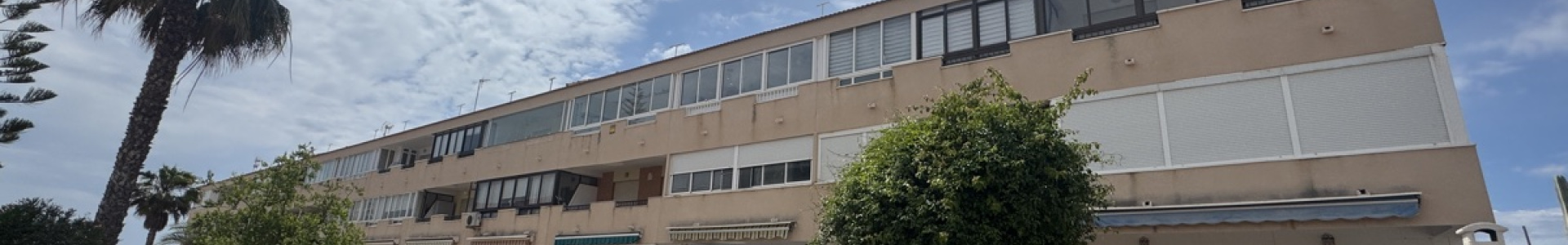 Mil Palmeras, Alicante, ,1 BathroomBathrooms,Apartment,Resale,0,103186215557978000