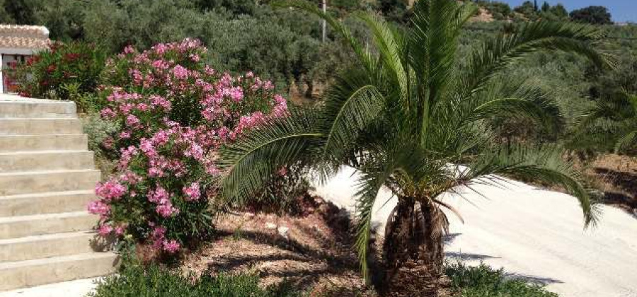 Iznajar, CÃ³rdoba, 9 Bedrooms Bedrooms, ,7 BathroomsBathrooms,Commercial Unit,Resale,0,103536644285235872
