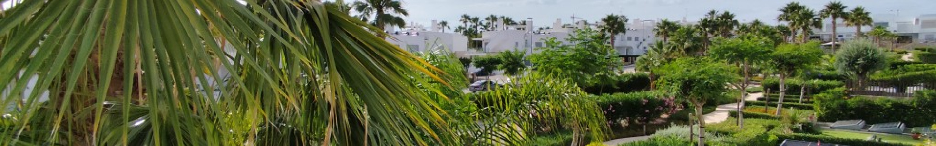 Apartment in Costa Blanca South, Vistabella Golf