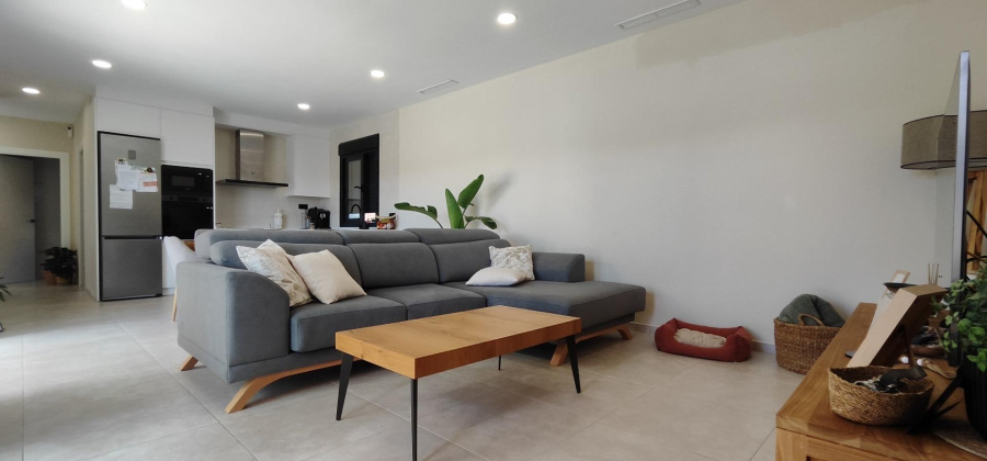 Pinoso, Alicante, 3 Bedrooms Bedrooms, ,2 BathroomsBathrooms,Villa,New,0,209559163311036512