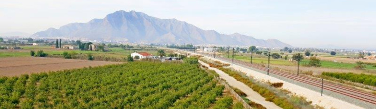 Country House or Finca in Costa Blanca South, Callosa De Segura