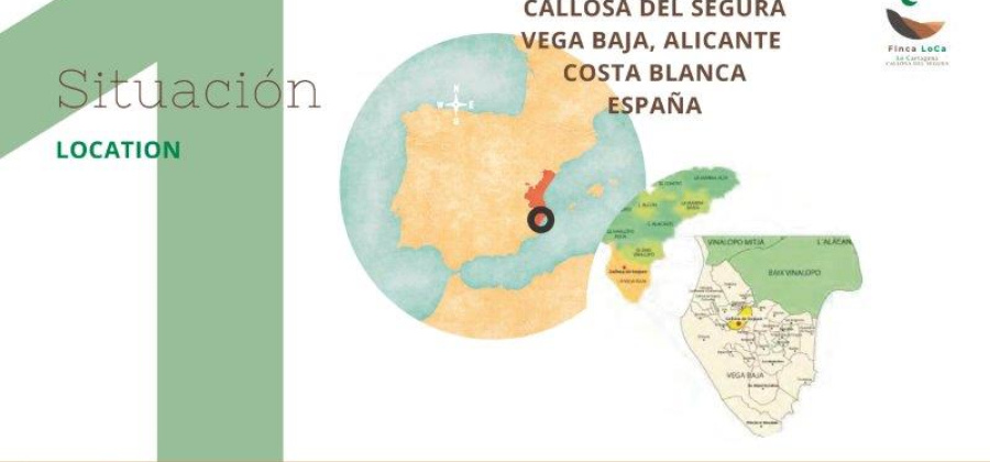 Callosa De Segura, Alicante, 1 Bedroom Bedrooms, ,1 BathroomBathrooms,Country House or Finca,Resale,0,291685214852295296