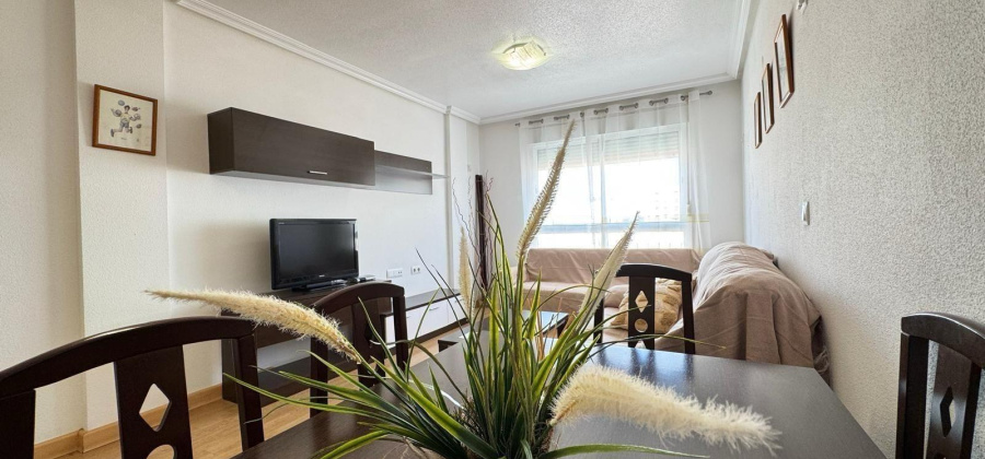 Torrevieja, Alicante, 3 Bedrooms Bedrooms, ,2 BathroomsBathrooms,Apartment,Resale,0,75632227773167424