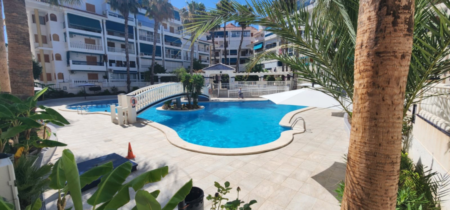 La Mata, Alicante, 1 Bedroom Bedrooms, ,1 BathroomBathrooms,Apartment,Resale,0,291685242823107456
