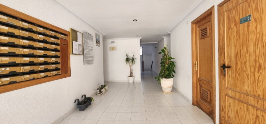La Mata, Alicante, 1 Bedroom Bedrooms, ,1 BathroomBathrooms,Apartment,Resale,0,291685242823107456