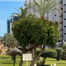 Apartment in Costa Blanca South, Orihuela Costa
