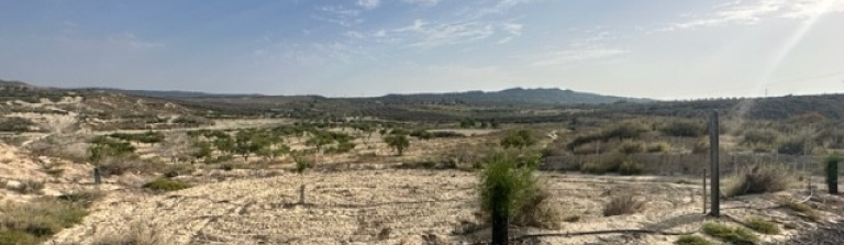 Plot of Land in Costa Blanca South, Torremendo