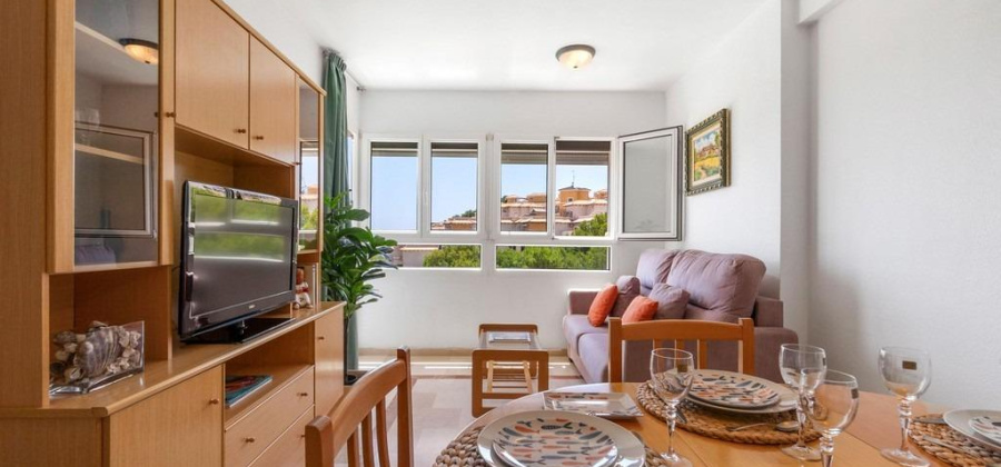 Orihuela Costa, Alicante, 2 Bedrooms Bedrooms, ,1 BathroomBathrooms,Apartment,Resale,0,65945173570903000