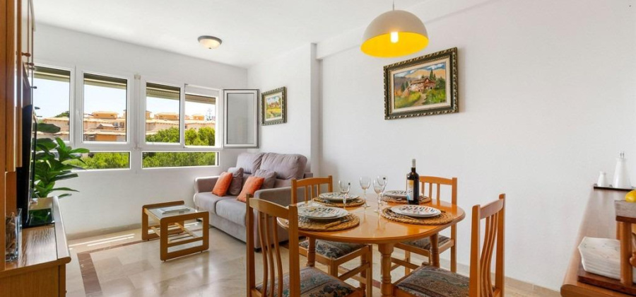 Orihuela Costa, Alicante, 2 Bedrooms Bedrooms, ,1 BathroomBathrooms,Apartment,Resale,0,65945173570903000