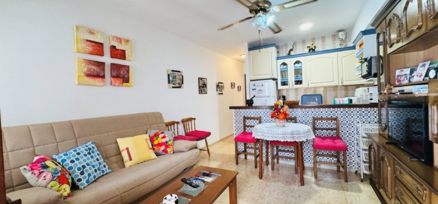 La Mata, Alicante, 1 Bedroom Bedrooms, ,1 BathroomBathrooms,Apartment,Resale,0,29168596242781008