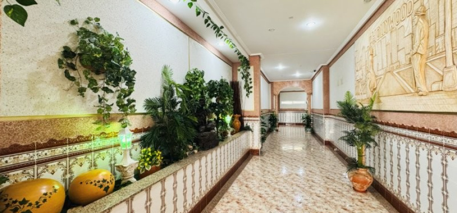 La Mata, Alicante, 2 Bedrooms Bedrooms, ,2 BathroomsBathrooms,Apartment,Resale,0,29168596127267796