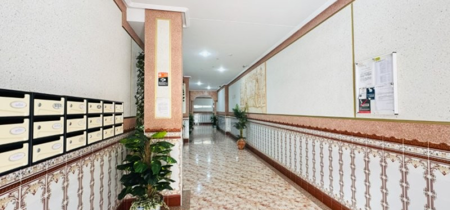 La Mata, Alicante, 2 Bedrooms Bedrooms, ,2 BathroomsBathrooms,Apartment,Resale,0,29168596127267796