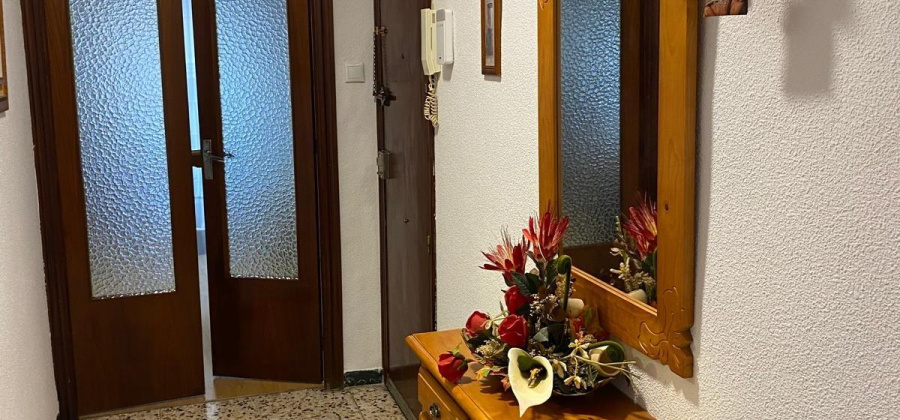 Santa Pola, Alicante, 3 Bedrooms Bedrooms, ,1 BathroomBathrooms,Apartment,Resale,0,75632310350427488