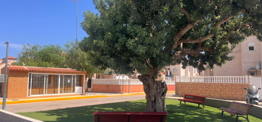 Orihuela Costa, Alicante, 2 Bedrooms Bedrooms, ,1 BathroomBathrooms,Bungalow,Resale,0,75632146726703984