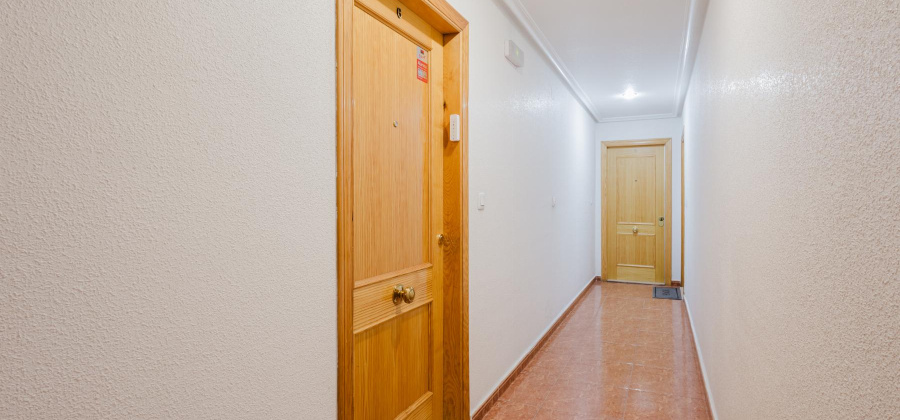Torrevieja, Alicante, 2 Bedrooms Bedrooms, ,1 BathroomBathrooms,Apartment,Resale,0,328216276056995520