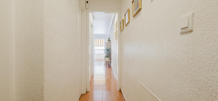 Torrevieja, Alicante, 2 Bedrooms Bedrooms, ,1 BathroomBathrooms,Apartment,Resale,0,328216276056995520