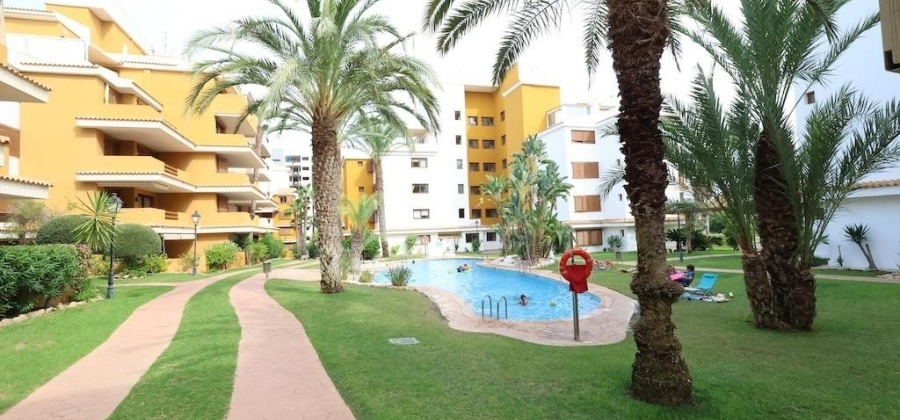 Torrevieja, Alicante, 2 Bedrooms Bedrooms, ,1 BathroomBathrooms,Apartment,Resale,0,209924105045457504