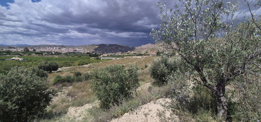 Abaran, Murcia, ,Country House or Finca,Resale,0,944333