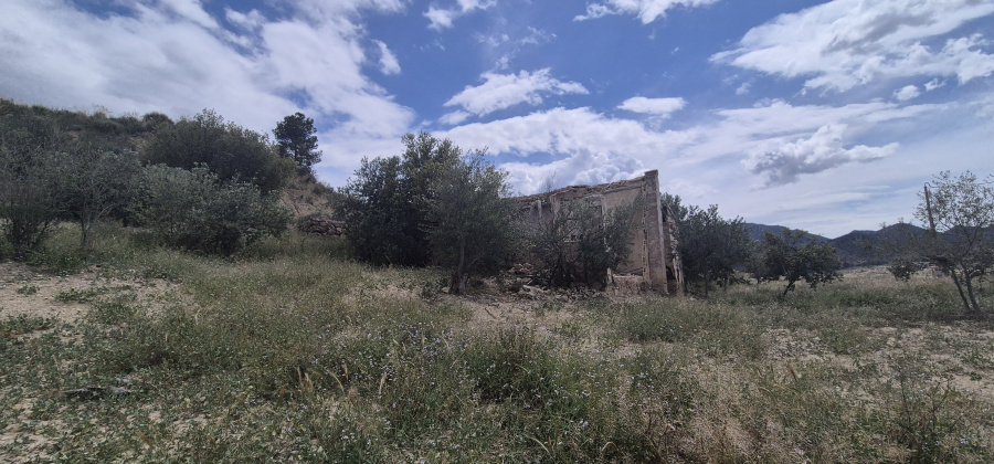 Abaran, Murcia, ,Country House or Finca,Resale,0,944333