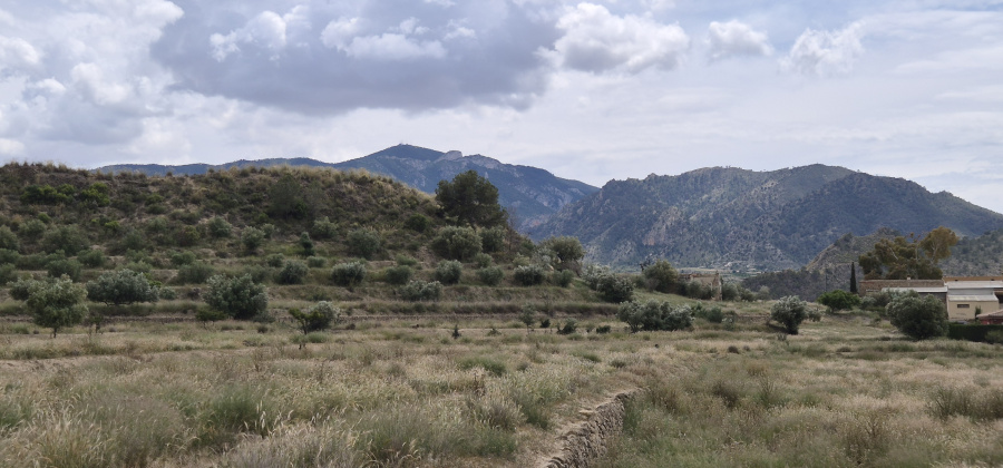 Abaran, Murcia, ,Country House or Finca,Resale,0,944333