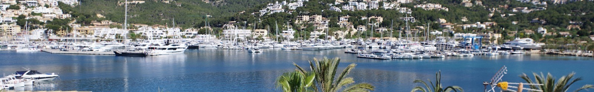 Apartment in MALLORCA, Port d'Andratx