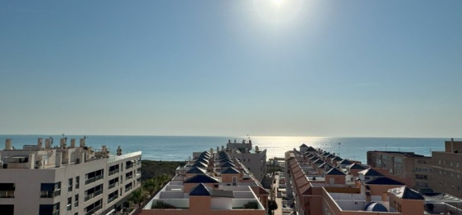La Mata, Alicante, 1 Bedroom Bedrooms, ,1 BathroomBathrooms,Apartment,Resale,0,291685245186921024