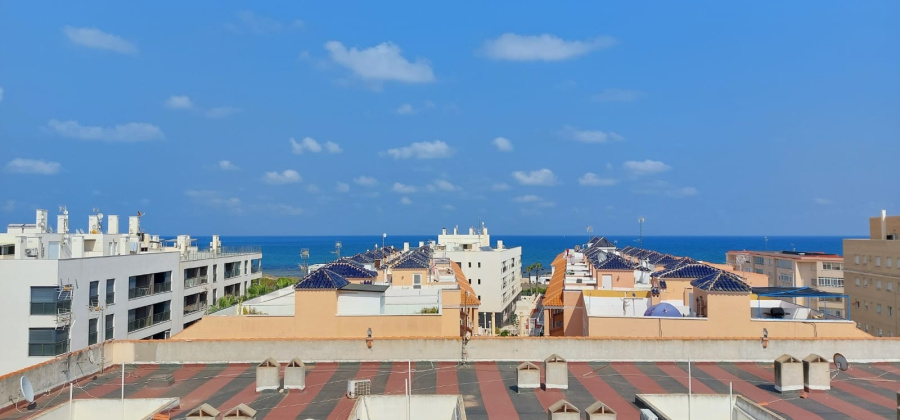 La Mata, Alicante, 1 Bedroom Bedrooms, ,1 BathroomBathrooms,Apartment,Resale,0,291685245186921024