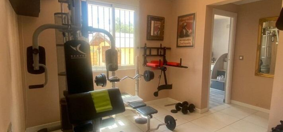 Albatera, Alicante, 5 Bedrooms Bedrooms, ,4 BathroomsBathrooms,Country House or Finca,Resale,0,75632238682678432