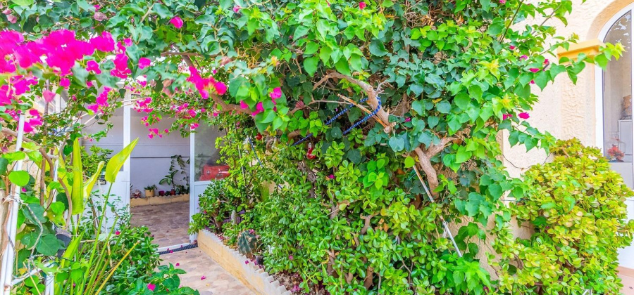 Orihuela Costa, Alicante, 3 Bedrooms Bedrooms, ,2 BathroomsBathrooms,Villa,Resale,0,328216244965681728