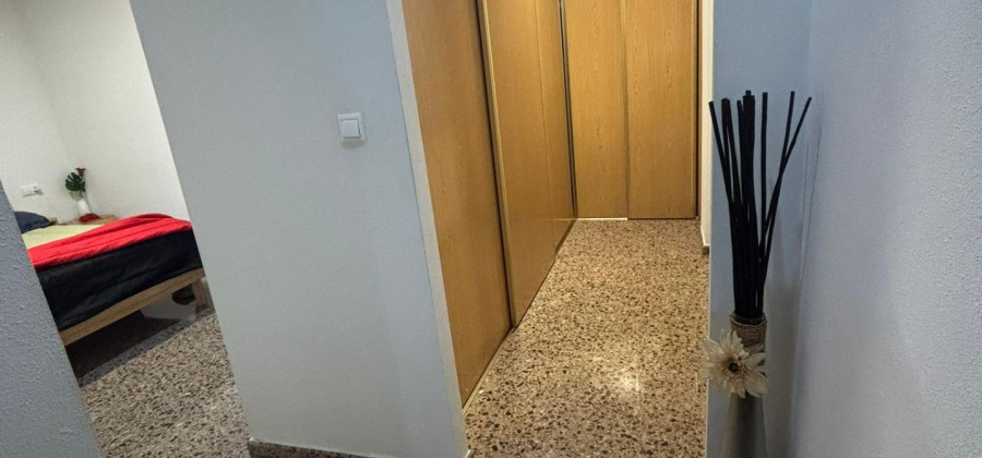 Elche, Alicante, 3 Bedrooms Bedrooms, ,2 BathroomsBathrooms,Apartment,Resale,0,7563290262571634