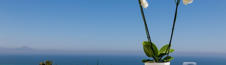 Santa Pola, Alicante, 3 Bedrooms Bedrooms, ,2 BathroomsBathrooms,Apartment,New,0,20955982831438512