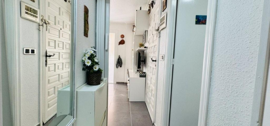 Torrevieja, Alicante, 1 Bedroom Bedrooms, ,1 BathroomBathrooms,Apartment,Resale,0,75632225511969360