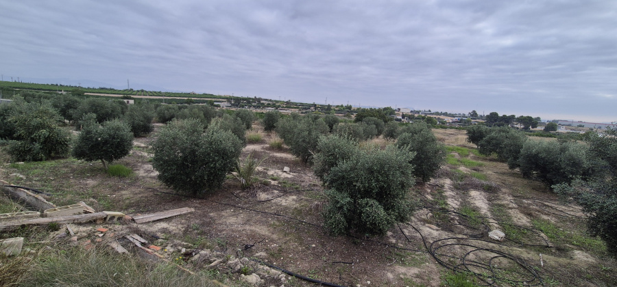 Las Torres de Cotillas, Murcia, 2 Bedrooms Bedrooms, ,1 BathroomBathrooms,Country House or Finca,Resale,0,944345 Las Torres de Cotillas, Murcia, 2 Bedrooms Bedrooms, ,1 BathroomBathrooms,Country House or Finca,Resale,0,944345