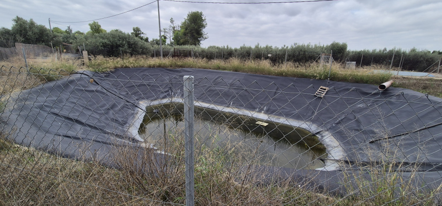 Las Torres de Cotillas, Murcia, 2 Bedrooms Bedrooms, ,1 BathroomBathrooms,Country House or Finca,Resale,0,944345 Las Torres de Cotillas, Murcia, 2 Bedrooms Bedrooms, ,1 BathroomBathrooms,Country House or Finca,Resale,0,944345