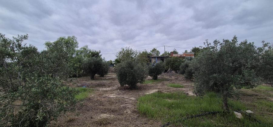 Las Torres de Cotillas, Murcia, 2 Bedrooms Bedrooms, ,1 BathroomBathrooms,Country House or Finca,Resale,0,944345 Las Torres de Cotillas, Murcia, 2 Bedrooms Bedrooms, ,1 BathroomBathrooms,Country House or Finca,Resale,0,944345