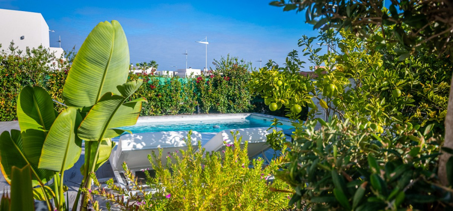 Algorfa, Alicante, 2 Bedrooms Bedrooms, ,2 BathroomsBathrooms,Villa,Resale,0,103536207337575024