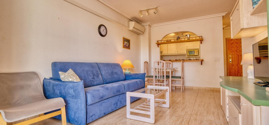 Torrevieja, Alicante, 1 Bedroom Bedrooms, ,1 BathroomBathrooms,Apartment,Resale,0,75632285368235920 Torrevieja, Alicante, 1 Bedroom Bedrooms, ,1 BathroomBathrooms,Apartment,Resale,0,75632285368235920