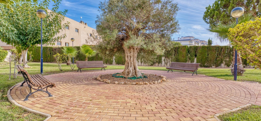 Torrevieja, Alicante, 1 Bedroom Bedrooms, ,1 BathroomBathrooms,Apartment,Resale,0,75632285368235920 Torrevieja, Alicante, 1 Bedroom Bedrooms, ,1 BathroomBathrooms,Apartment,Resale,0,75632285368235920