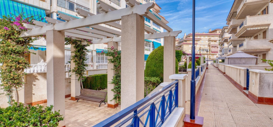 Torrevieja, Alicante, 1 Bedroom Bedrooms, ,1 BathroomBathrooms,Apartment,Resale,0,75632285368235920 Torrevieja, Alicante, 1 Bedroom Bedrooms, ,1 BathroomBathrooms,Apartment,Resale,0,75632285368235920