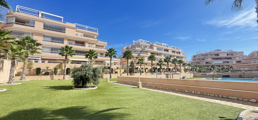 Villamartin, Alicante, 2 Bedrooms Bedrooms, ,2 BathroomsBathrooms,Apartment,Resale,0,103186212488133184 Villamartin, Alicante, 2 Bedrooms Bedrooms, ,2 BathroomsBathrooms,Apartment,Resale,0,103186212488133184