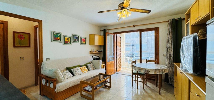 La Mata, Alicante, 1 Bedroom Bedrooms, ,1 BathroomBathrooms,Apartment,Resale,0,291685143919205056 La Mata, Alicante, 1 Bedroom Bedrooms, ,1 BathroomBathrooms,Apartment,Resale,0,291685143919205056