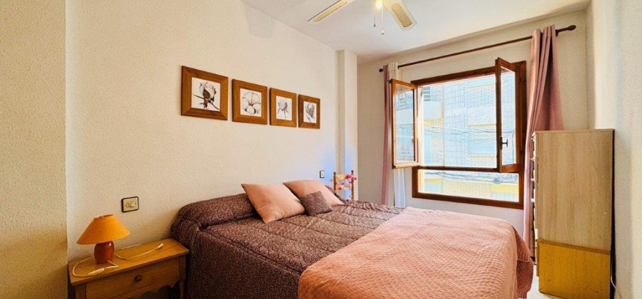 La Mata, Alicante, 1 Bedroom Bedrooms, ,1 BathroomBathrooms,Apartment,Resale,0,291685143919205056 La Mata, Alicante, 1 Bedroom Bedrooms, ,1 BathroomBathrooms,Apartment,Resale,0,291685143919205056