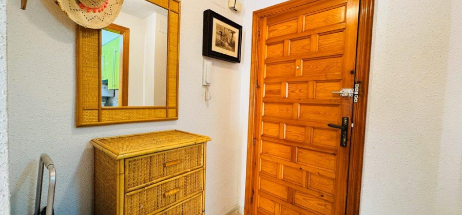 La Mata, Alicante, 1 Bedroom Bedrooms, ,1 BathroomBathrooms,Apartment,Resale,0,291685143919205056 La Mata, Alicante, 1 Bedroom Bedrooms, ,1 BathroomBathrooms,Apartment,Resale,0,291685143919205056