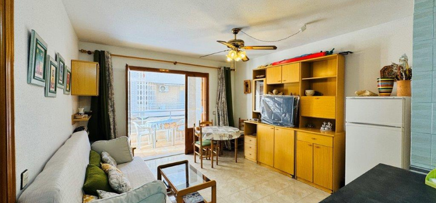 La Mata, Alicante, 1 Bedroom Bedrooms, ,1 BathroomBathrooms,Apartment,Resale,0,291685143919205056 La Mata, Alicante, 1 Bedroom Bedrooms, ,1 BathroomBathrooms,Apartment,Resale,0,291685143919205056