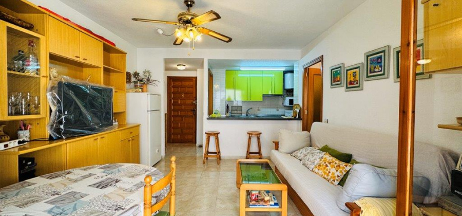 La Mata, Alicante, 1 Bedroom Bedrooms, ,1 BathroomBathrooms,Apartment,Resale,0,291685143919205056 La Mata, Alicante, 1 Bedroom Bedrooms, ,1 BathroomBathrooms,Apartment,Resale,0,291685143919205056