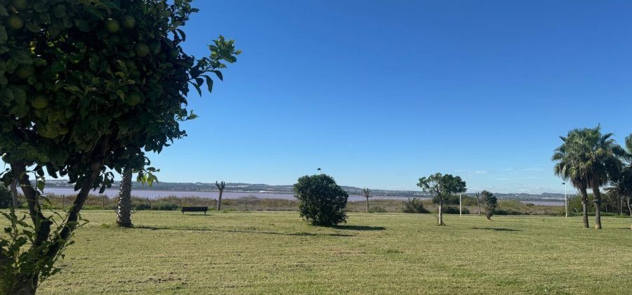 Torrevieja, Alicante, 2 Bedrooms Bedrooms, ,2 BathroomsBathrooms,Villa,Resale,0,7563273559791320 Torrevieja, Alicante, 2 Bedrooms Bedrooms, ,2 BathroomsBathrooms,Villa,Resale,0,7563273559791320