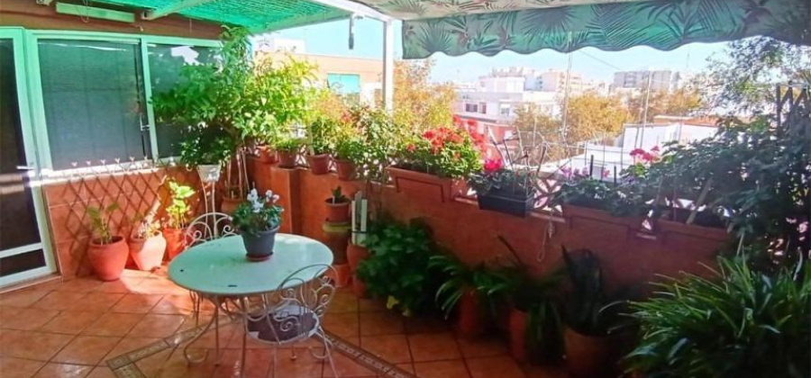Alicante, Alicante, 4 Bedrooms Bedrooms, ,1 BathroomBathrooms,Apartment,Resale,0,7563295719756441 Alicante, Alicante, 4 Bedrooms Bedrooms, ,1 BathroomBathrooms,Apartment,Resale,0,7563295719756441