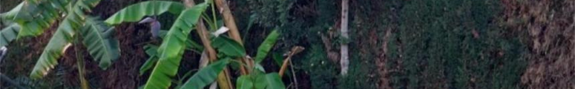 Villa in Costa Blanca South, Denia